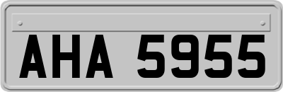 AHA5955