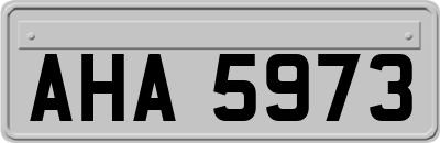 AHA5973