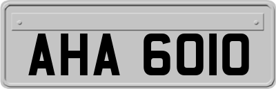 AHA6010