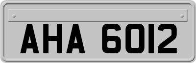 AHA6012