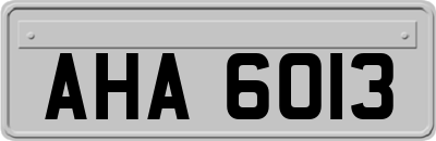 AHA6013