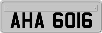 AHA6016