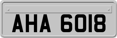 AHA6018