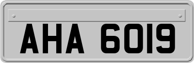 AHA6019