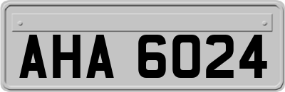 AHA6024