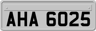 AHA6025