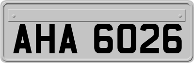 AHA6026