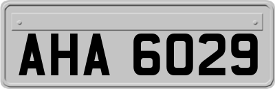 AHA6029