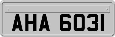 AHA6031