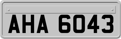 AHA6043