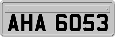 AHA6053