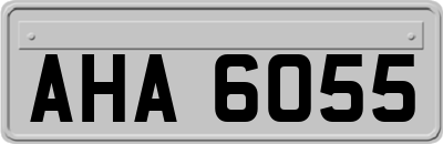 AHA6055