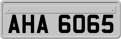 AHA6065