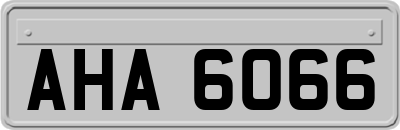 AHA6066