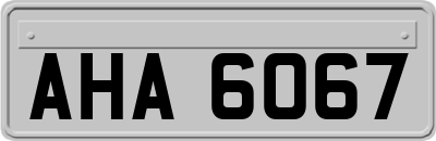 AHA6067