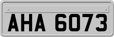 AHA6073