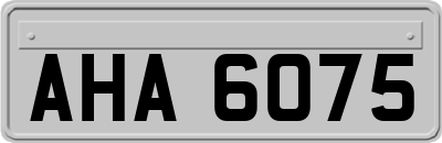 AHA6075