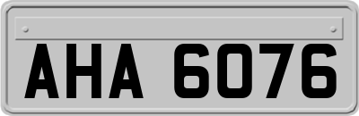 AHA6076