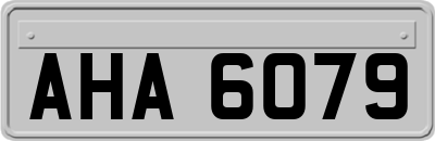 AHA6079