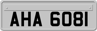 AHA6081