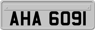 AHA6091