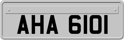 AHA6101