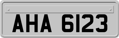 AHA6123