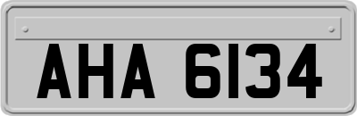 AHA6134