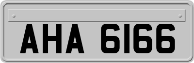 AHA6166