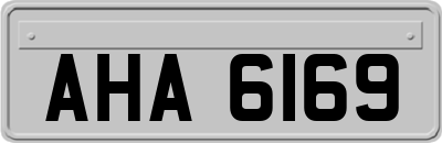 AHA6169