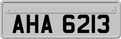 AHA6213
