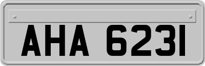 AHA6231