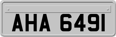 AHA6491