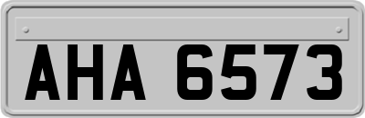 AHA6573