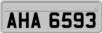 AHA6593