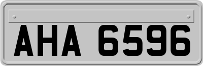 AHA6596
