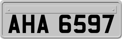 AHA6597