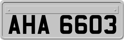 AHA6603