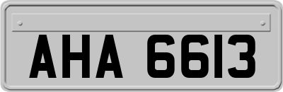 AHA6613