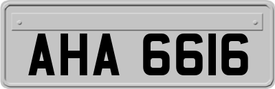 AHA6616