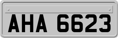 AHA6623