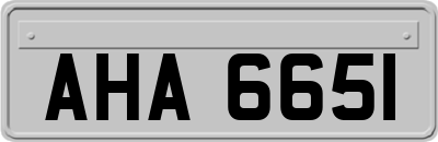 AHA6651