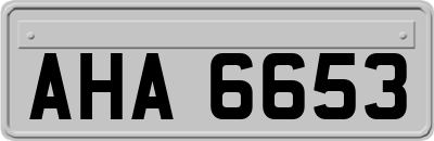AHA6653