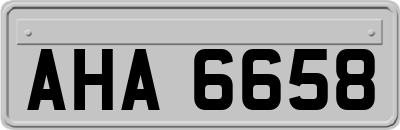 AHA6658
