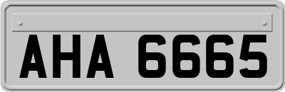 AHA6665