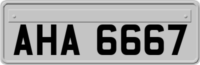 AHA6667