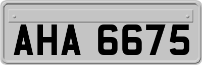 AHA6675