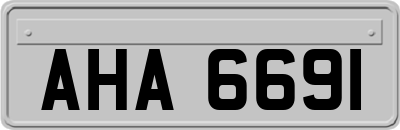 AHA6691