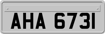 AHA6731