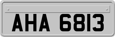 AHA6813